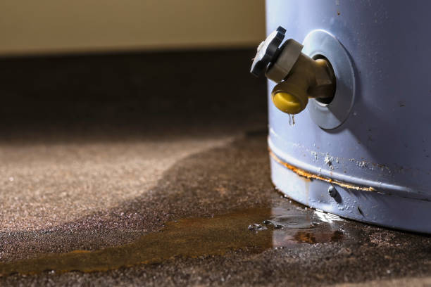 Best Professional water damage repair  in Lukachukai, AZ
