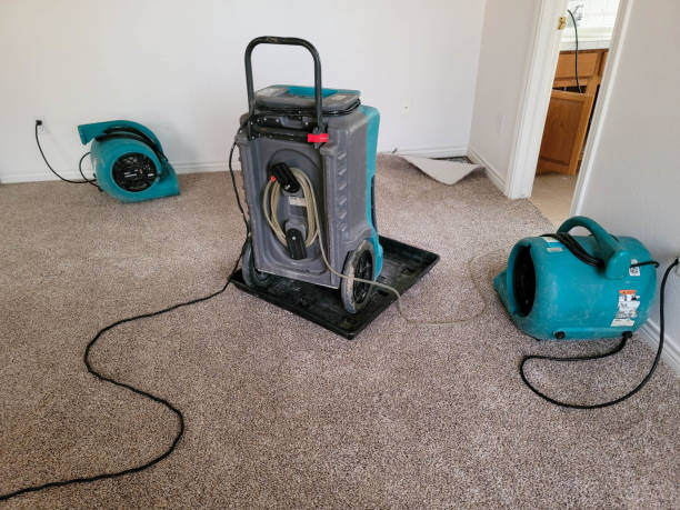 Best Water damage repair service  in Lukachukai, AZ