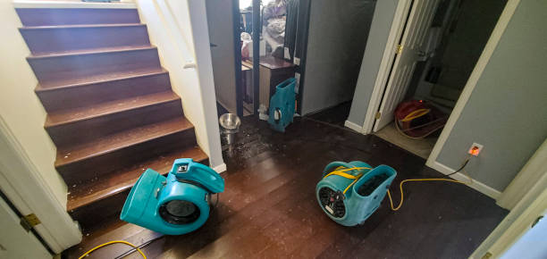 Best 24/7 water damage repair  in Lukachukai, AZ