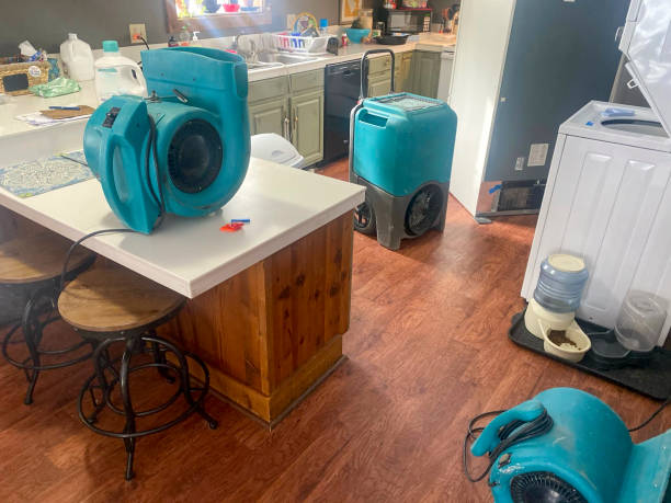 Best 24-hour water damage restoration  in Lukachukai, AZ