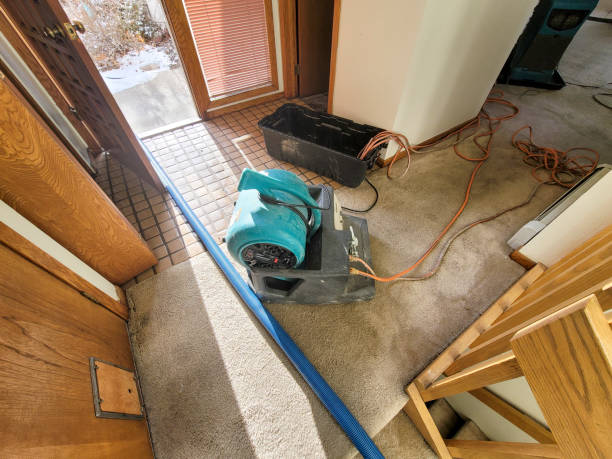Best Flooded house restoration  in Lukachukai, AZ