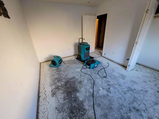 Lukachukai, AZ Water damage restoration Company