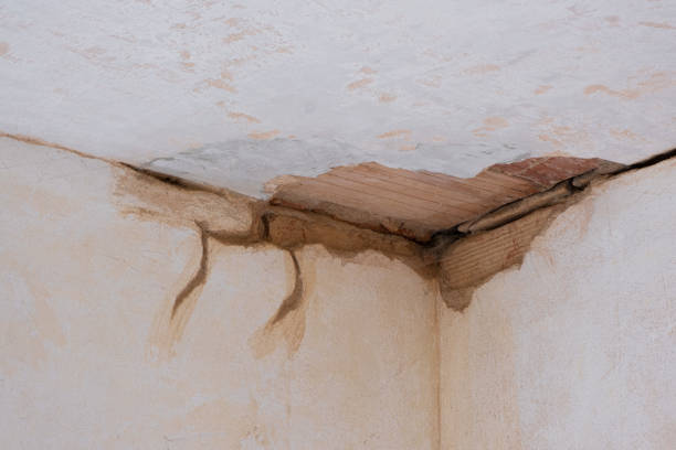 Best Water damage restoration services  in Lukachukai, AZ