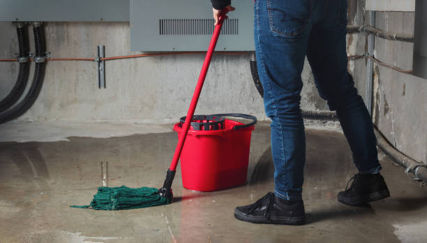 Best Fire Damage Restoration  in Lukachukai, AZ
