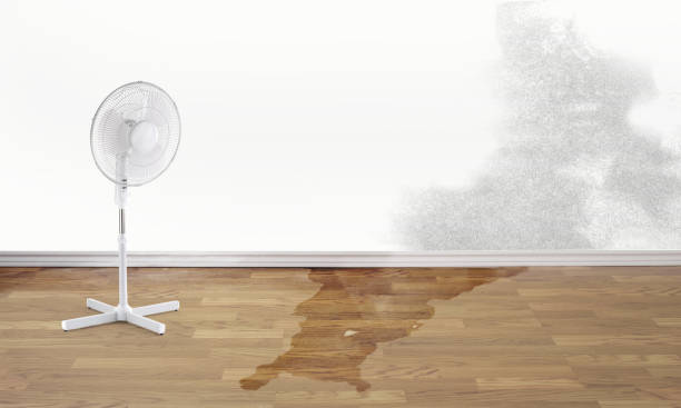 Best Residential water damage restoration  in Lukachukai, AZ