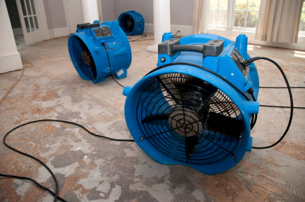 Best Water damage restoration mold remediation  in Lukachukai, AZ