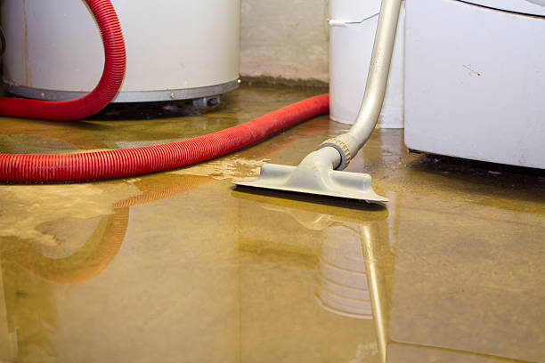 Water damage restoration insurance claims in Lukachukai, AZ