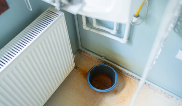 Best Basement water damage restoration  in Lukachukai, AZ