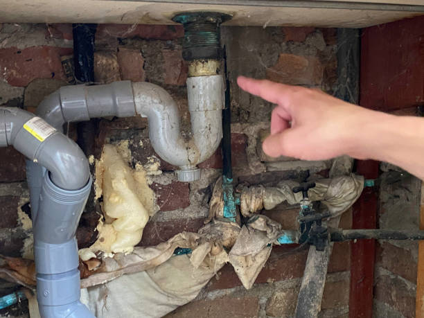 Best Water damage restoration services  in Lukachukai, AZ