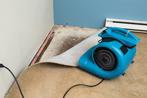 Water damage restoration process in Lukachukai, AZ